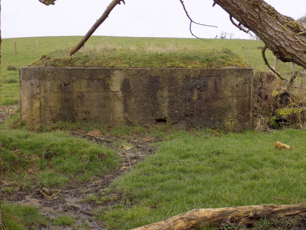 Ligne Maginot - 49 - LES BAUCHES NORD - (Blockhaus pour arme infanterie) - Face gauche avec petit créneau d'observation