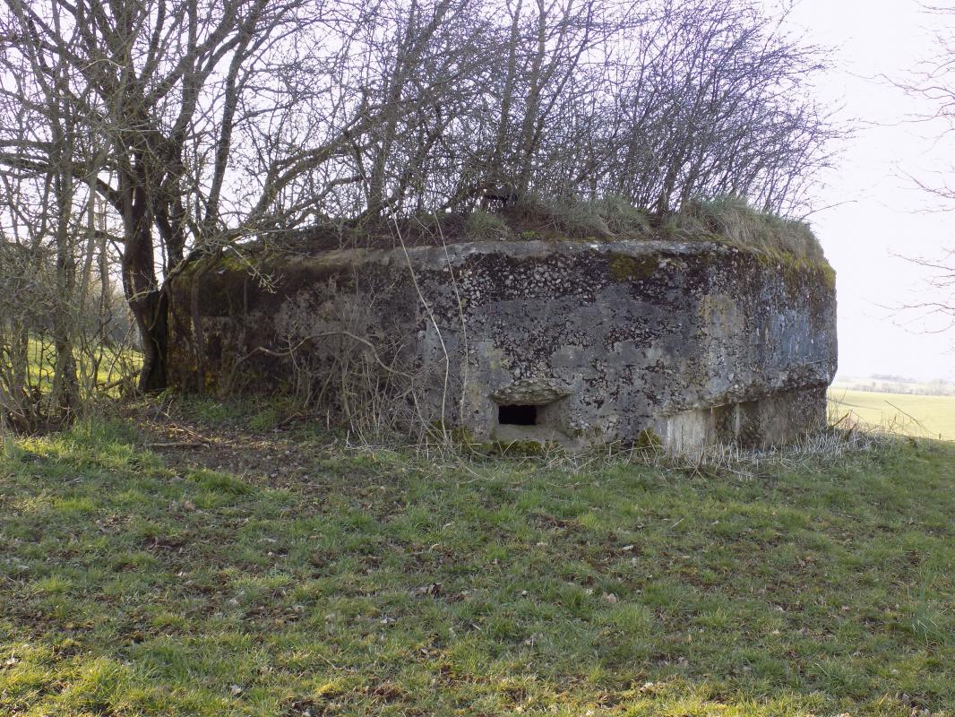 Ligne Maginot - 11A - LA BOULETTE - (Blockhaus pour canon) - Face sud-est, créneau FM