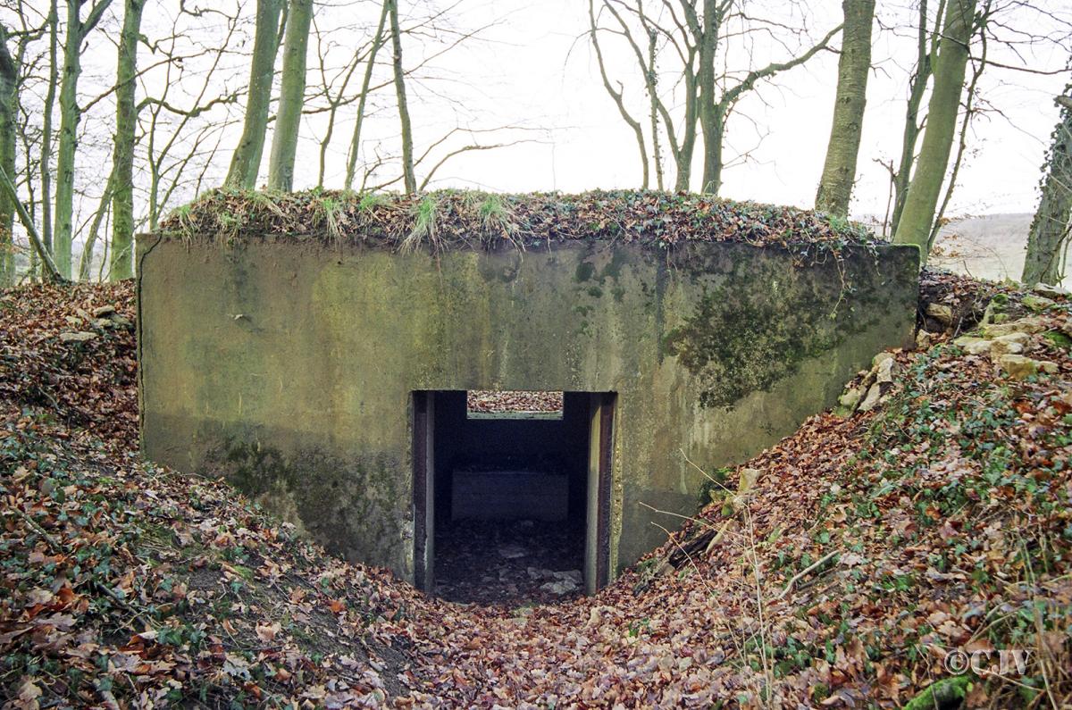 Ligne Maginot - STEINRITZ EST - LEO - (Blockhaus pour canon) - 