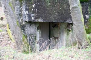 Ligne Maginot - DAMBACH Est (Casemate d'infanterie) - 