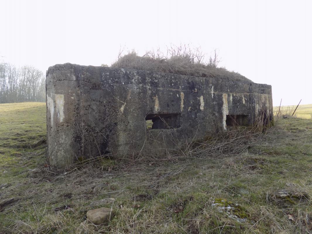 Ligne Maginot - 29A - LES BAUCHES SUD - (Blockhaus pour arme infanterie) - Face frontale