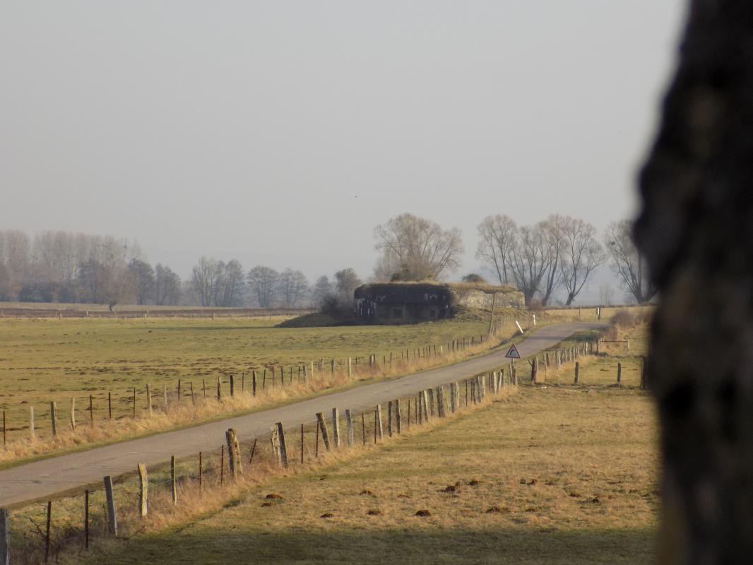 Ligne Maginot - 29A - LES BAUCHES SUD - (Blockhaus pour arme infanterie) - Vue vers le sud-est, A97