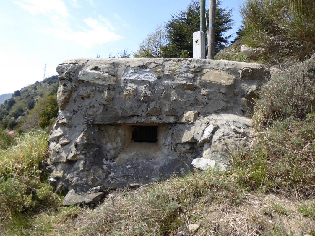 Ligne Maginot - CROIX de COUGOULE 1 (Blockhaus pour arme infanterie) - 
