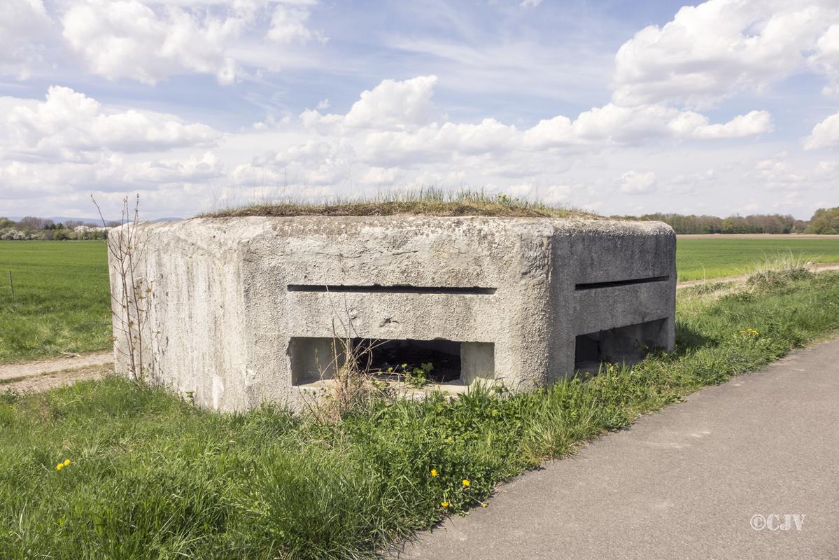 Ligne Maginot - BINDERNHEIM CANAL - (Blockhaus pour canon) - 