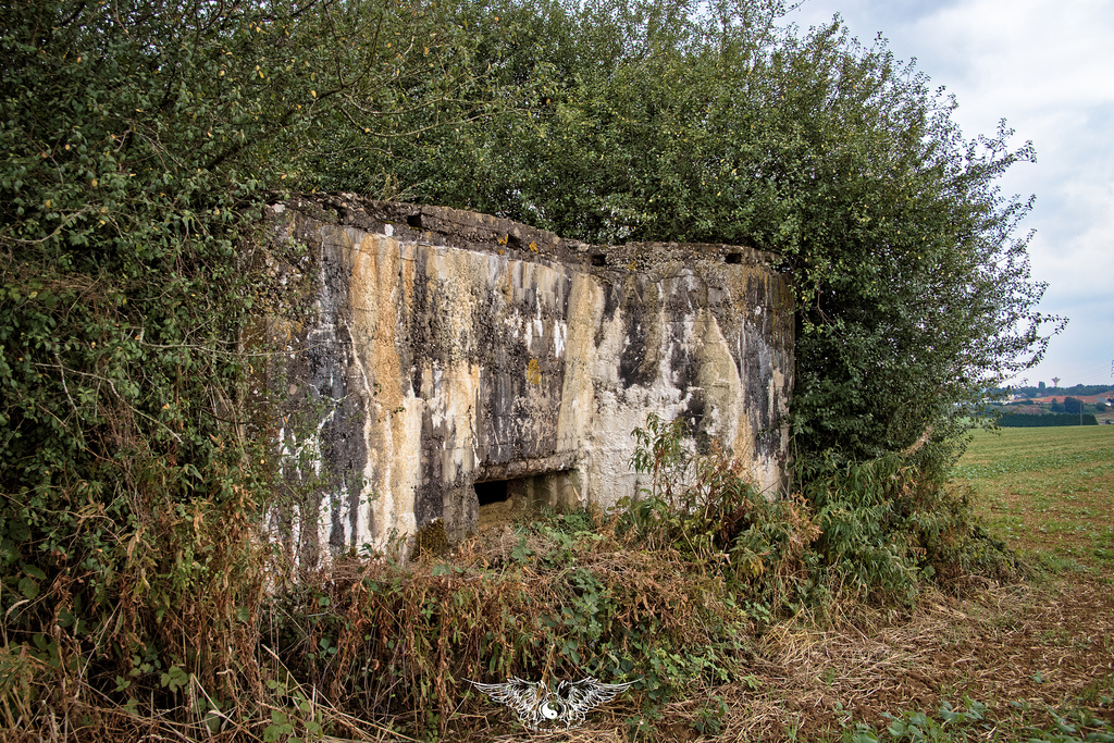 Ligne Maginot - REDOUTE DU BEL ARBRE - (Blockhaus de type indéterminé) - Face 