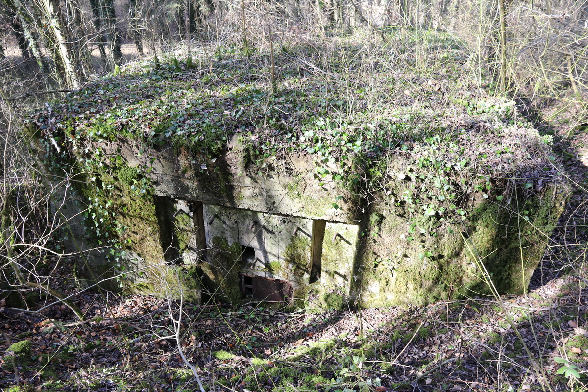 Ligne Maginot - DB265 - FOND FLOSSE - (Blockhaus pour canon) - 