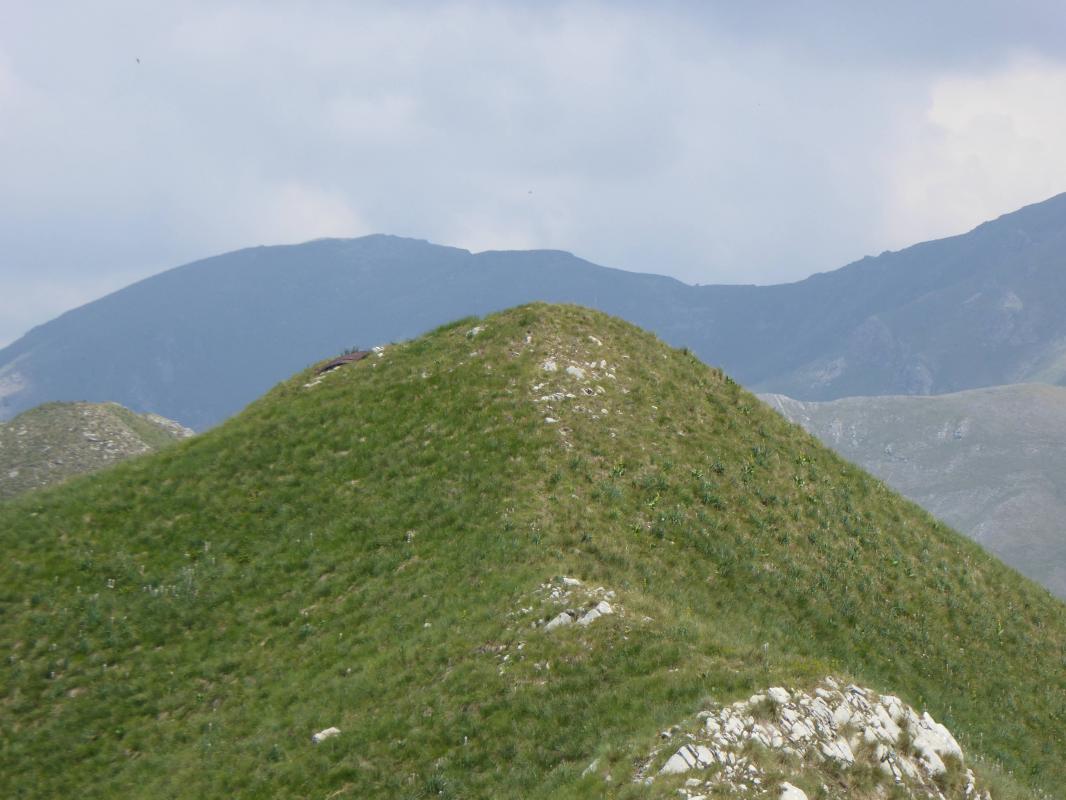 Ligne Maginot - ORTIGHEA Sud (Observatoire d'artillerie) - Vue sur Ortighéa