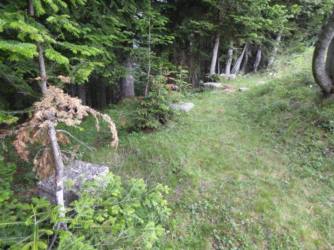 Ligne Maginot - Casernement du CAMP d'ARGENT - Quelques restes de soubassement