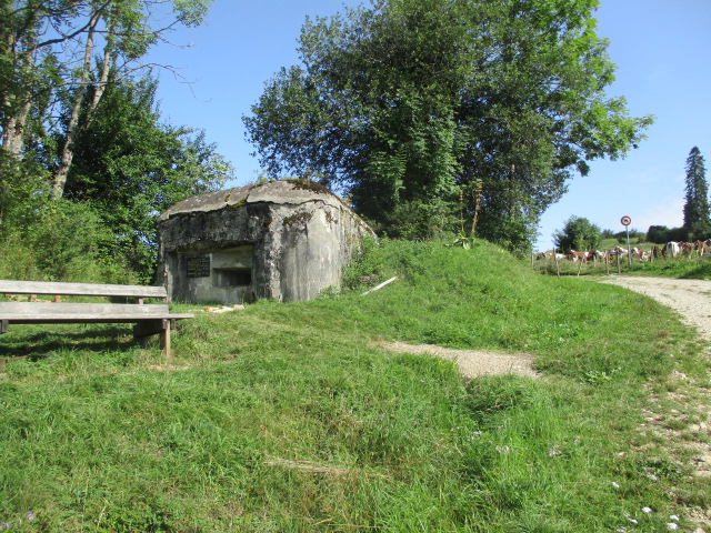 Ligne Maginot - Blockhaus ABBAYE 1 - B36 - Blockhaus situé dans son environnement