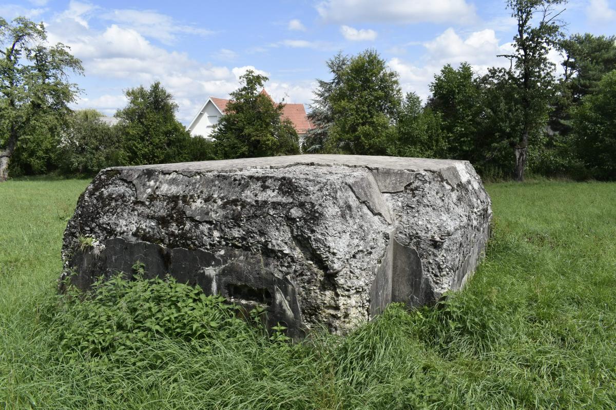 Ligne Maginot - BATTENHAEUSLEIN 1 - (Blockhaus pour arme infanterie) - Vue du coté ouest avec l'entrée murée
