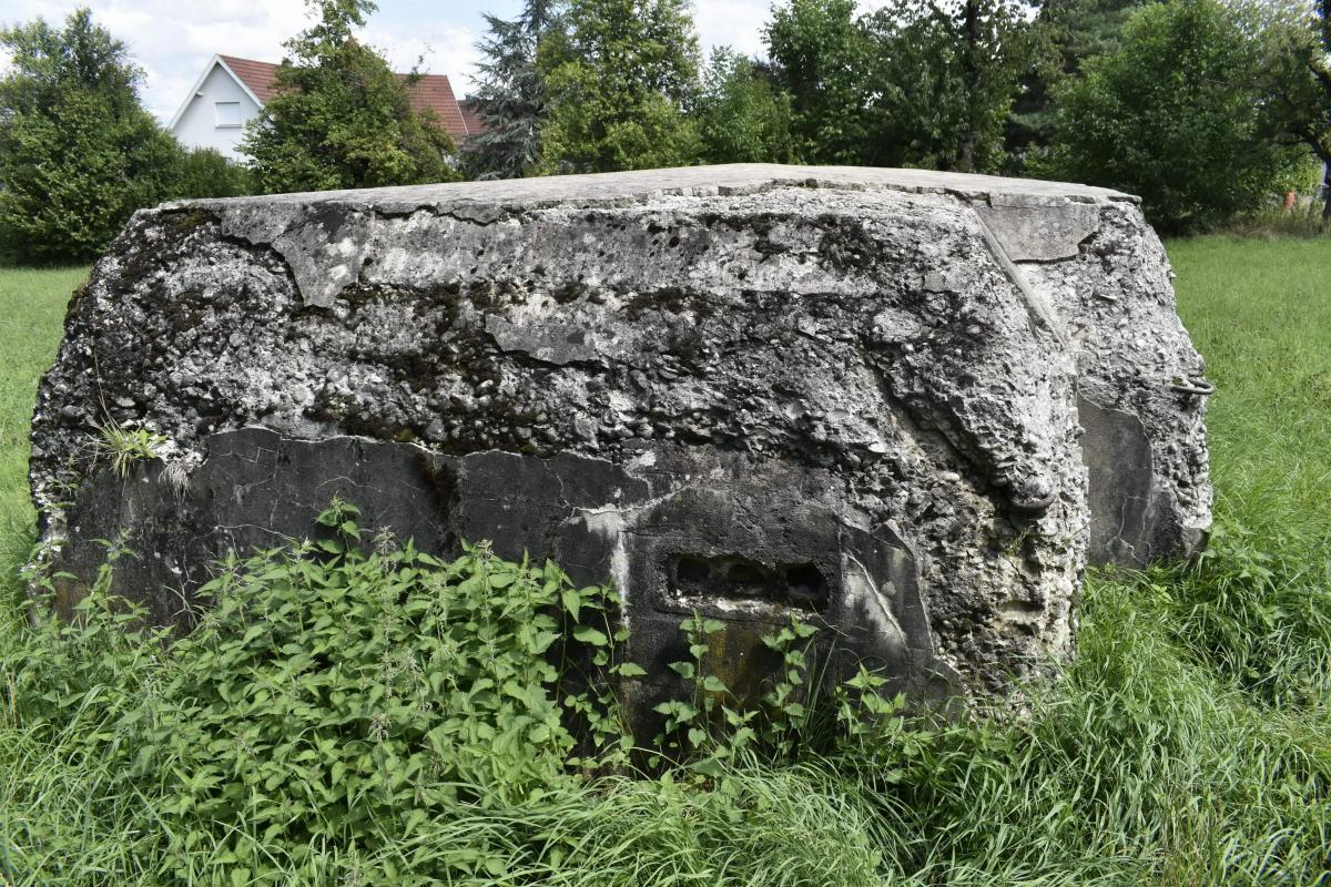 Ligne Maginot - BATTENHAEUSLEIN 1 - (Blockhaus pour arme infanterie) - Vue du coté ouest avec l'entrée murée