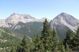 Ligne Maginot - Abri des ACLES Ouest - La vue des Alpins en sortant de l'abri