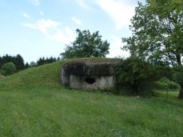 Ligne Maginot - B814 - LE CIMETIERE - (Blockhaus pour canon) - 
