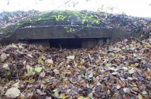 Ligne Maginot - Blockhaus B11 - ECLUSE de BERMONT - Coupole prise de face