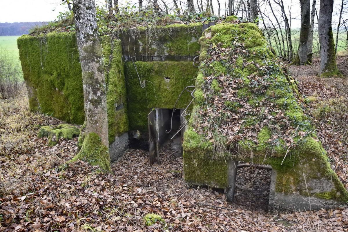 Ligne Maginot - CB228 - BOIS DE CATTENOM 01 - (Blockhaus pour canon) - Entrée des hommes et l'appendice en béton couvrant l'angle laissant un passage pour les hommes avec une ouverture de la taille d'un porte.
