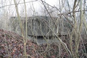 Ligne Maginot - LAMENDSAND OUEST - (Blockhaus pour arme infanterie) - 