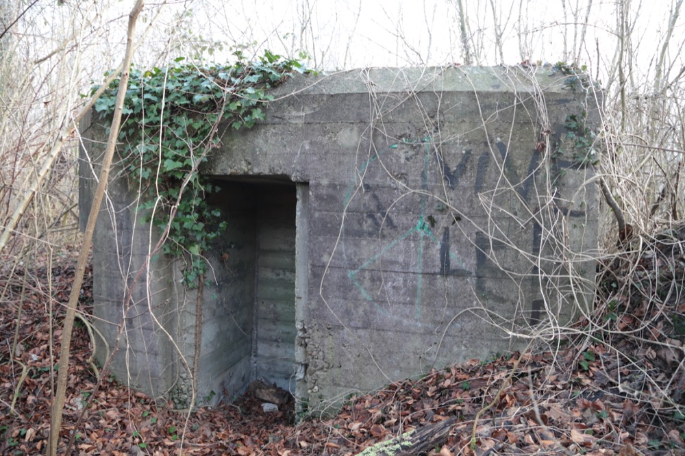 Ligne Maginot - LAMENDSAND OUEST - (Blockhaus pour arme infanterie) - 