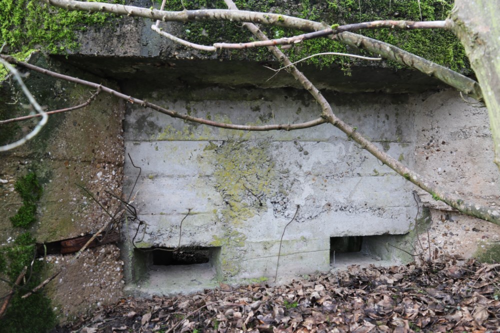 Ligne Maginot - SARRALBE CANAL 3 - (Blockhaus pour arme infanterie) - 