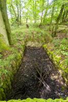 Ligne Maginot - TAUBRUNNENWALD 11 - (Blockhaus de type indeterminé) -                            