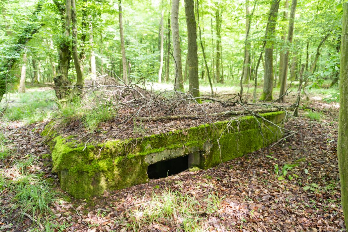 Ligne Maginot - TAUBRUNNENWALD 5 - (Blockhaus pour arme infanterie) -                