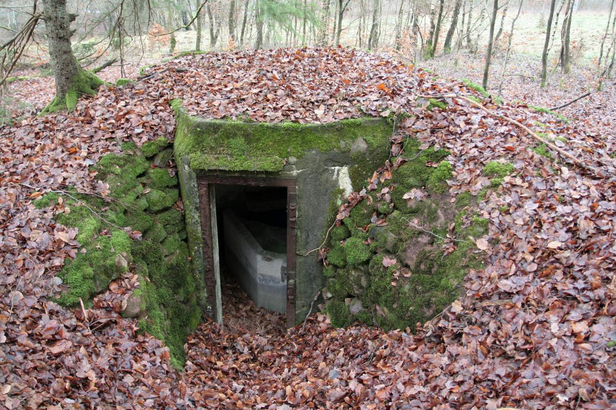 Ligne Maginot - M80 - FINSTERTHAL 4 - (Blockhaus pour arme infanterie) - Vue extérieure de l'entrée