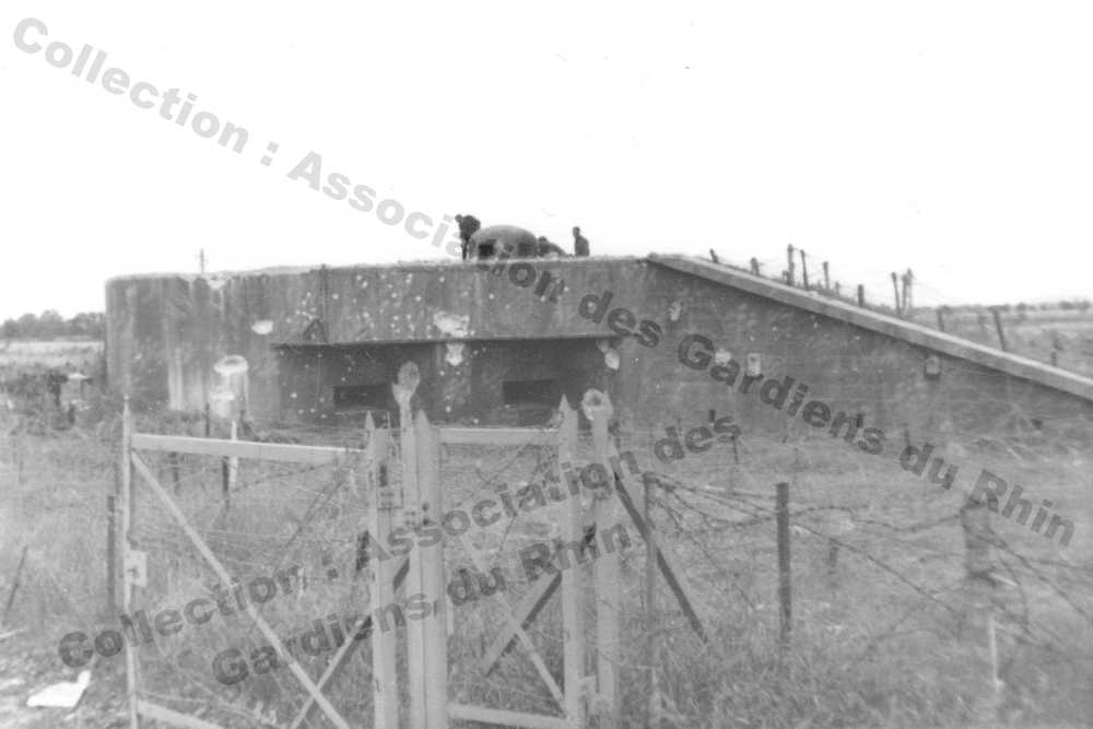 Ligne Maginot - 49/3 - BALGAU SUD - (Casemate d'infanterie - double) - 