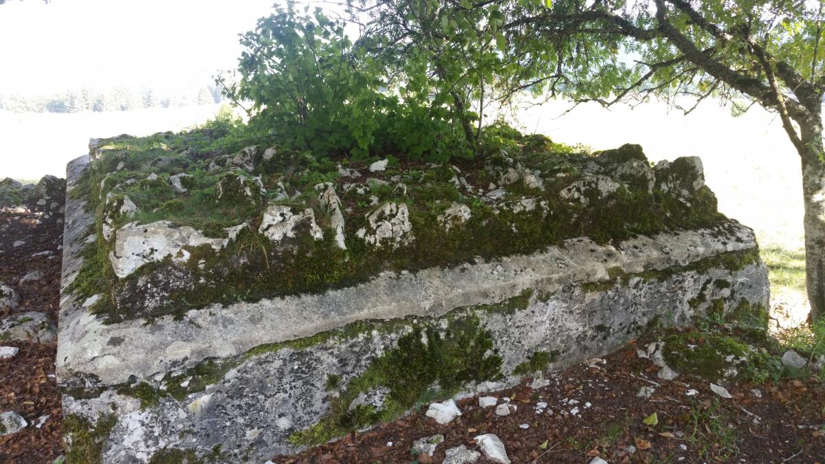 Ligne Maginot - GRANGES MICHEL - (Blockhaus pour arme infanterie) -   bloc vue de l'arrière. Un soin particulier du camouflage est apporté par la pose de rochers sur le toit.