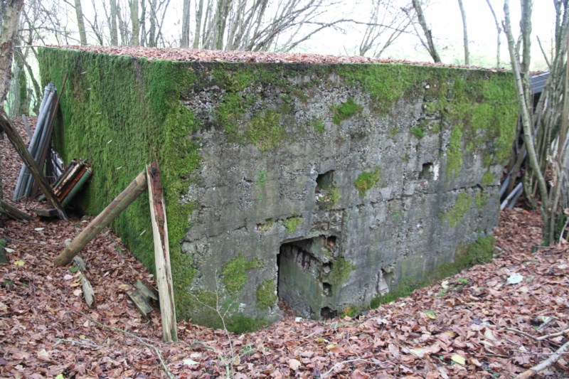 Ligne Maginot - EHEFLOSS NORD - (Blockhaus pour arme infanterie) - 