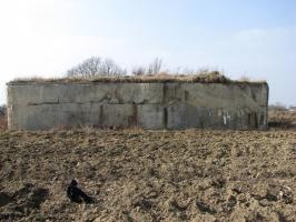 Ligne Maginot - 59/3 - BANTZENHEIM SUD - (Casemate d'infanterie - double) - Le mur est dégagé de son talus