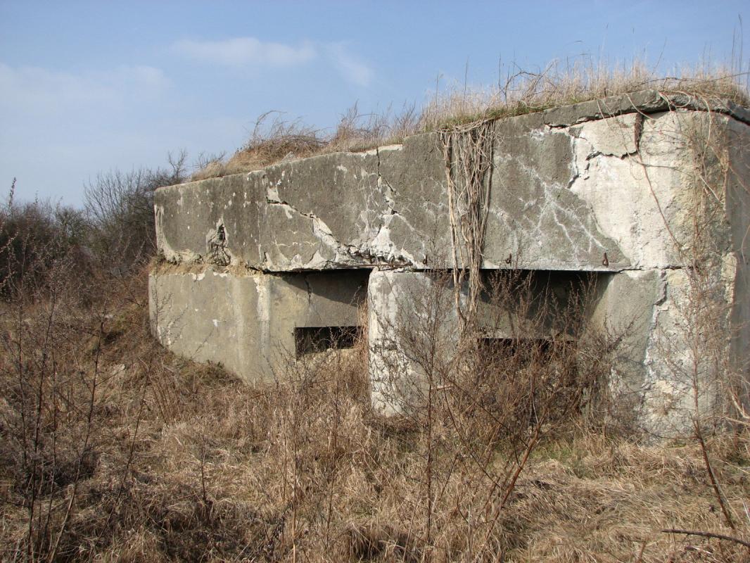 Ligne Maginot - 59/3 - BANTZENHEIM SUD - (Casemate d'infanterie - double) - Créneau sud