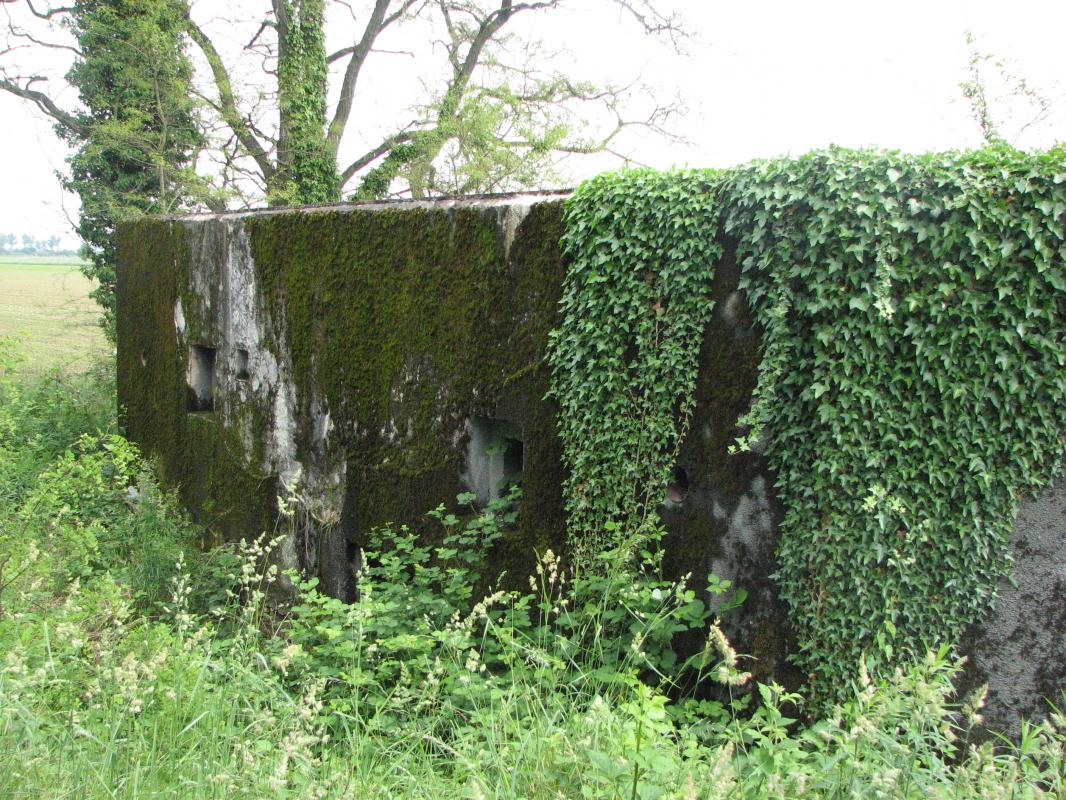 Ligne Maginot - LANGER ZUG - (Blockhaus pour arme infanterie) - Vue de l'arrière