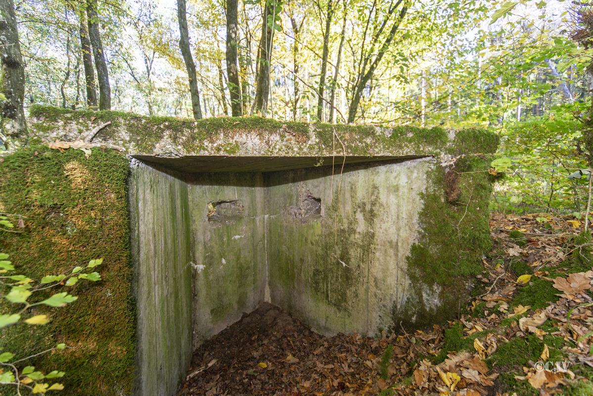 Ligne Maginot - HENRIVILLE 4 (AVANT POSTE) - (Blockhaus pour arme infanterie) -                        