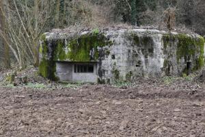 Ligne Maginot - SIERENTZ OUEST 2 (PA DE) - (Blockhaus pour arme infanterie) - Vue du coté des créneaux