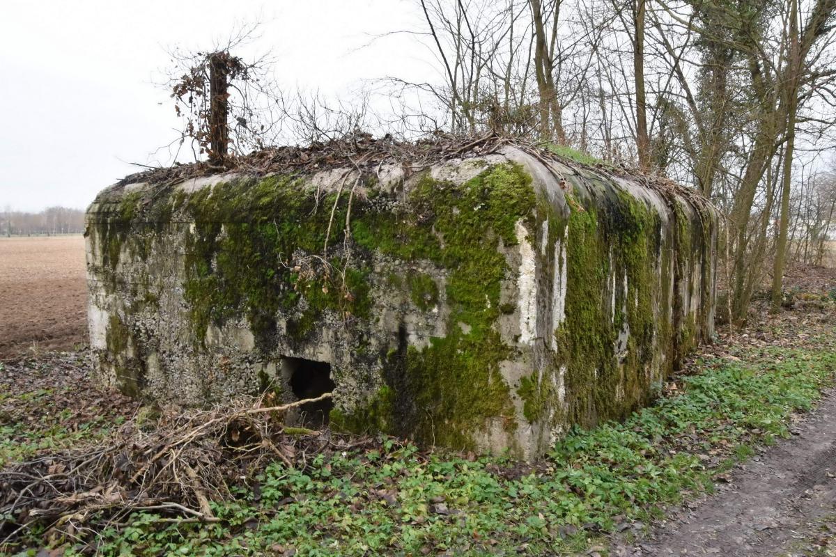 Ligne Maginot - SIERENTZ OUEST 2 (PA DE) - (Blockhaus pour arme infanterie) - Vue du coté de l'entrée