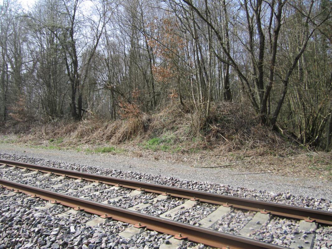 Ligne Maginot - WALBOURG GARE - (Infrastructure ferroviaire) - Vestige d'une rampe