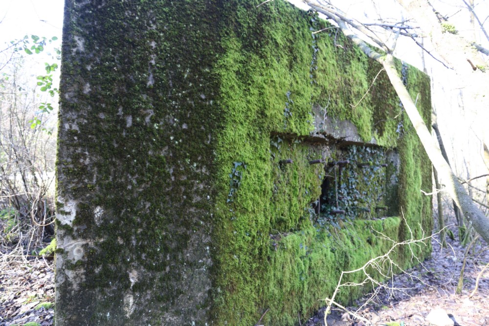 Ligne Maginot - CB304 - BUSCHWIESE 2 - (Blockhaus pour arme infanterie) -    Créneau secondaire FM vers l'est