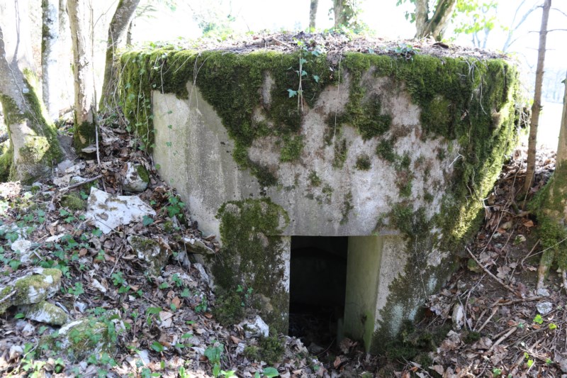 Ligne Maginot - SAEGERKOPF NORD - (Blockhaus pour arme infanterie) -    