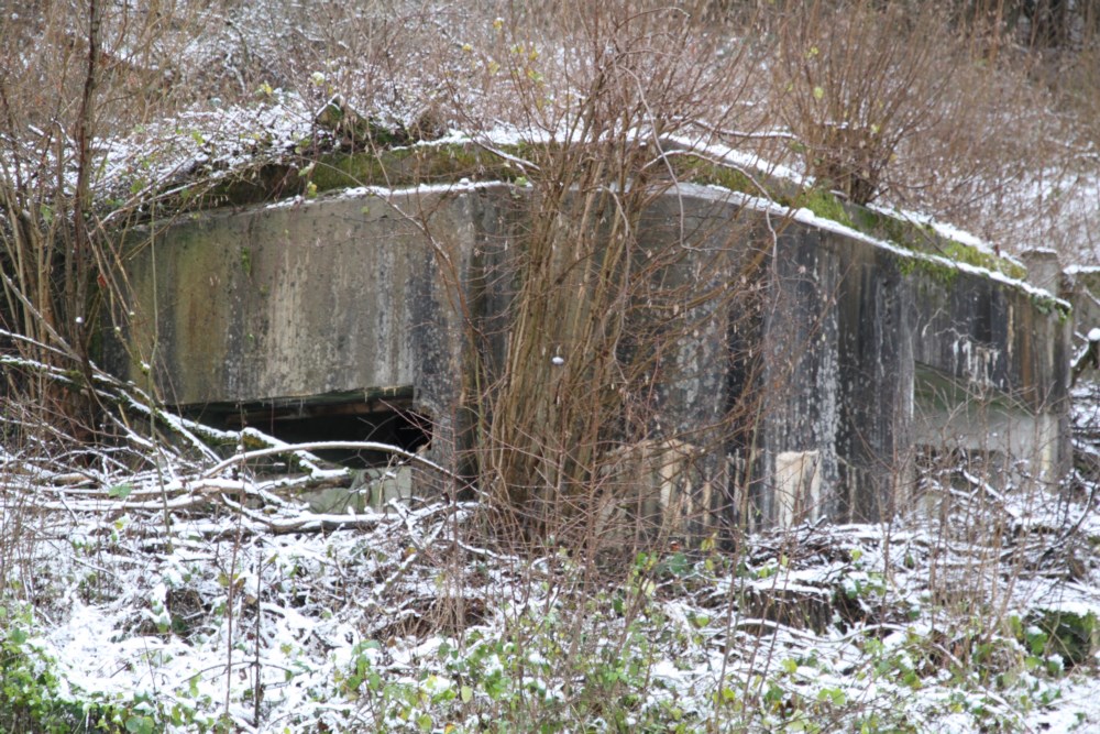 Ligne Maginot - CB4 - (Blockhaus pour canon) - 