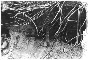 Ligne Maginot - WELSCHHOF - (Ouvrage d'infanterie) - Le créneau du canon de 47mm de l'entrée de l'ouvrage après les combats
