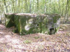 Ligne Maginot - CB443 - BOIS KARRE 7 - (Blockhaus pour arme infanterie) - 