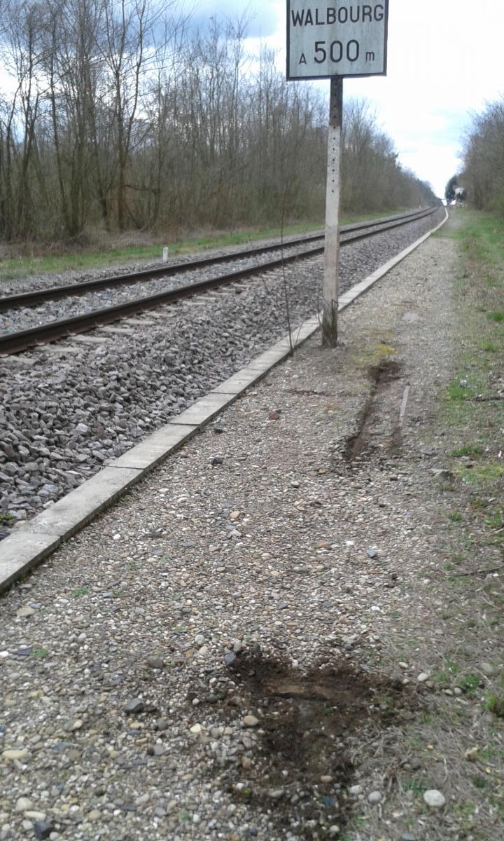Ligne Maginot - WALBOURG GARE - (Infrastructure ferroviaire) - Vestiges d'un dispositif annexe probablement de signalisation