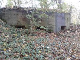Ligne Maginot - 66TER - BOIS LE SART NORD - (Blockhaus pour arme infanterie) -  Vue extérieure des trois créneaux