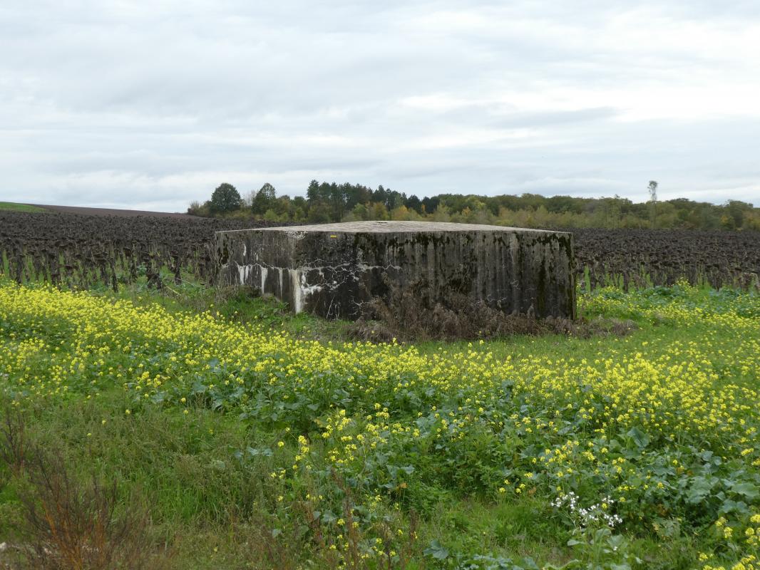 Ligne Maginot - DRIESCHBERG 1 - (Blockhaus pour arme infanterie) -    2019