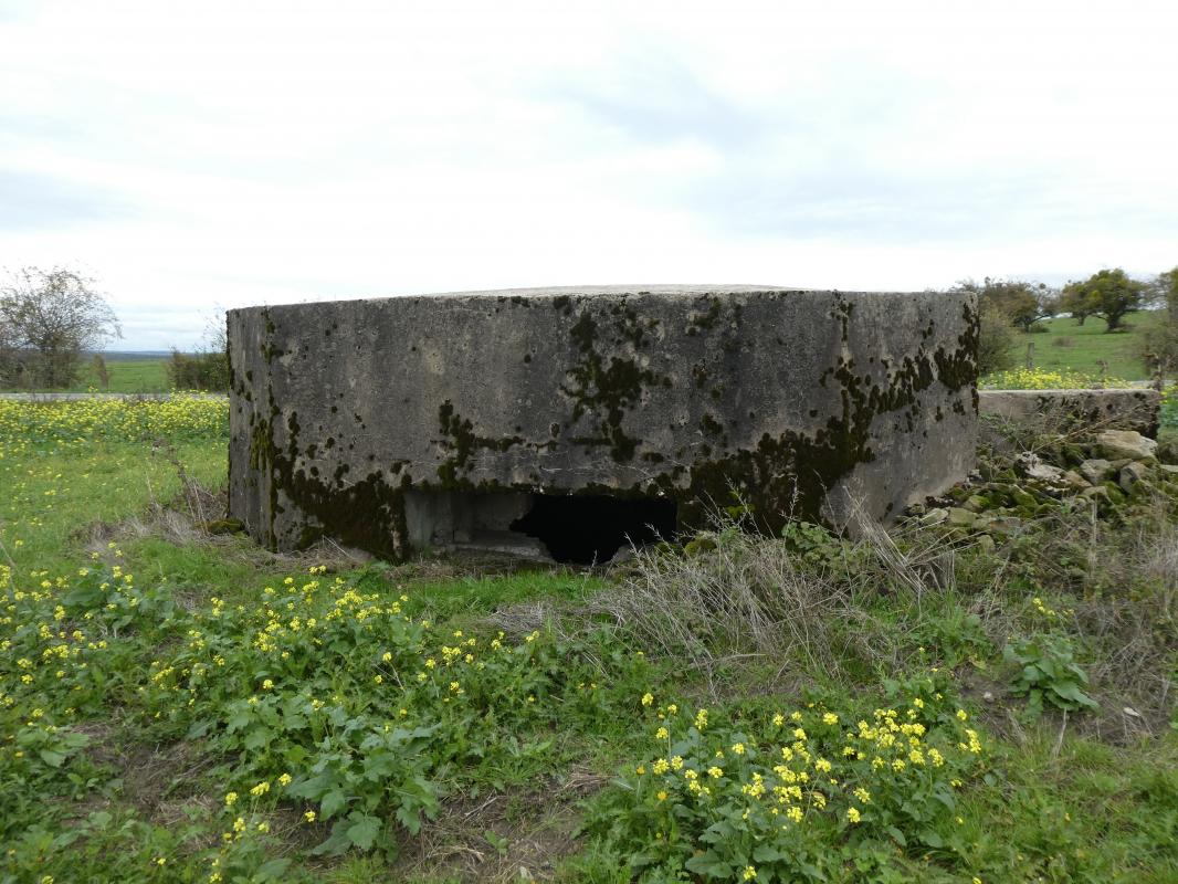 Ligne Maginot - DRIESCHBERG 1 - (Blockhaus pour arme infanterie) - 