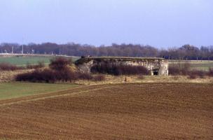 Ligne Maginot - BOIS DU FOUR - A5 - (Ouvrage d'infanterie) - L'ouvrage vu depuis Villers la Montagne Est