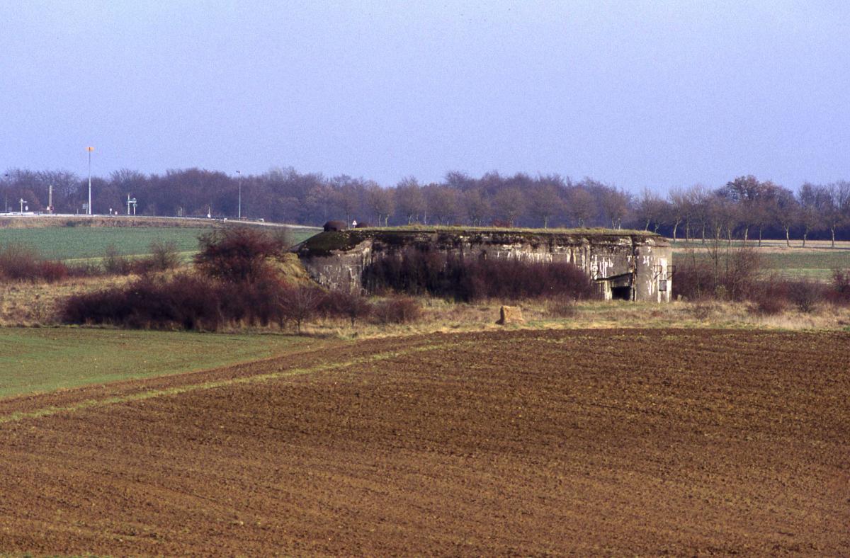 Ligne Maginot - BOIS DU FOUR - A5 - (Ouvrage d'infanterie) - L'ouvrage vu depuis Villers la Montagne Est