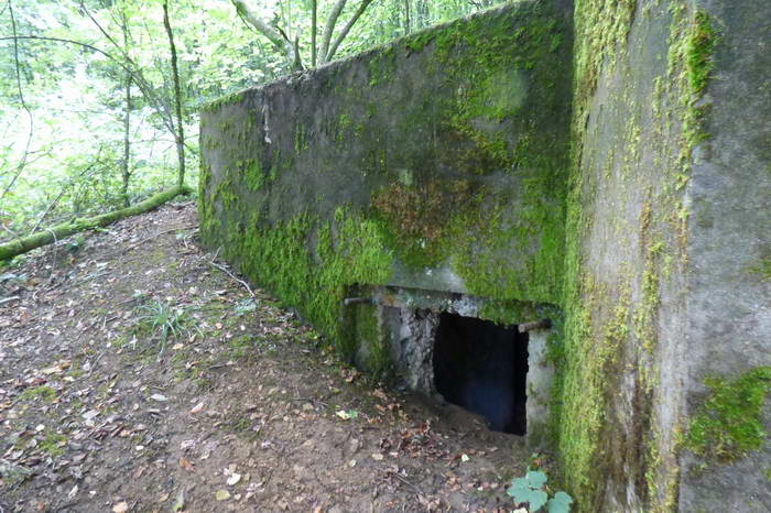 Ligne Maginot - CB604 - BELLEVUE - (Blockhaus pour arme infanterie) -    2019/.
