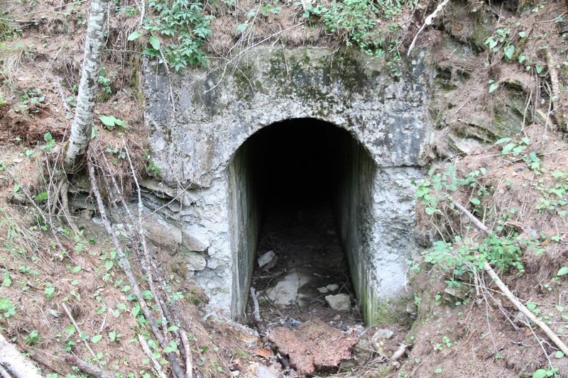 Ligne Maginot - LA RUA 7 - (Abri) -              Entrée située face à l'attaque...      