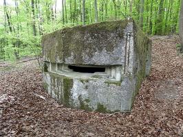Ligne Maginot - MEISTERBUSCH 3 - (Observatoire d'infanterie) - Un observatoire dans la forêt
