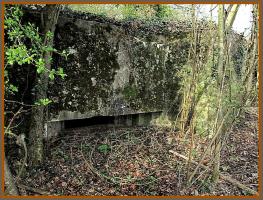 Ligne Maginot - DALEM EST - (Blockhaus pour canon) - 